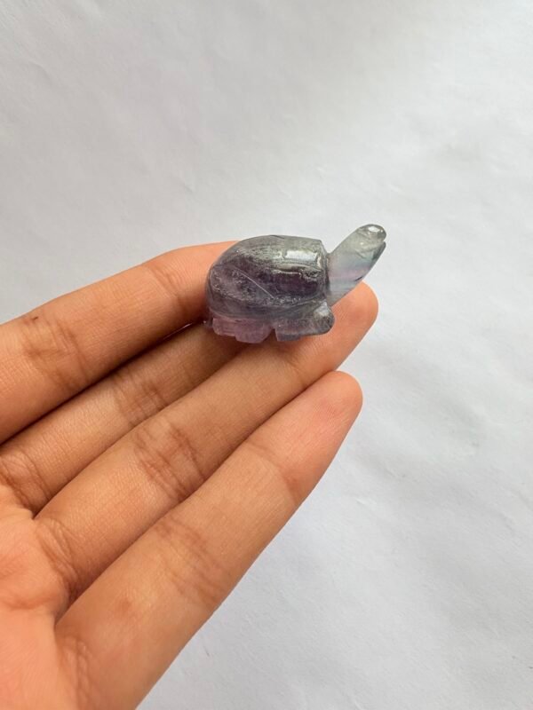 Fluorite turtle - Image 2