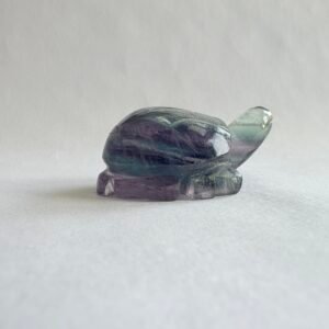 Fluorite turtle