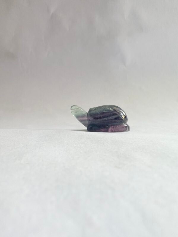 Fluorite turtle - Image 3